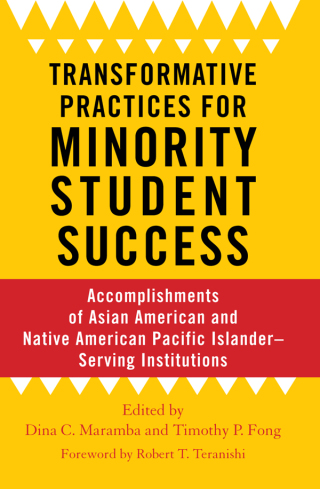Cover image: Transformative Practices for Minority Student Success 1st edition 9781642670172