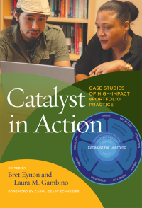 صورة الغلاف: Catalyst in Action 1st edition 9781620368671