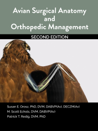 Omslagafbeelding: Avian Surgical Anatomy And Orthopedic Management 2nd edition 9781591610526