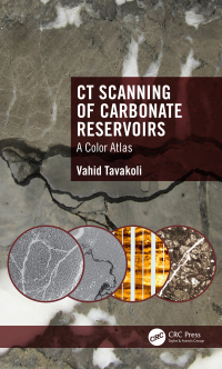 Immagine di copertina: CT Scanning of Carbonate Reservoirs 1st edition 9781032521404