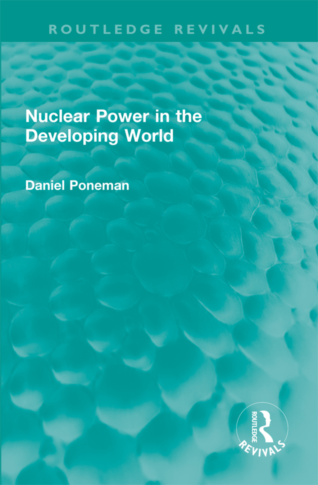 Nuclear Power in the Developing World 1st Edition