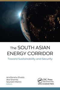 Imagen de portada: The South Asian Energy Corridor 1st edition 9781774914786