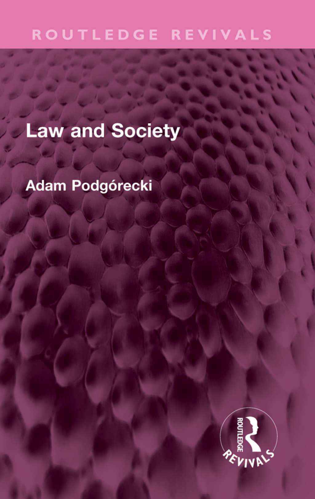 Law and Society 1st Edition