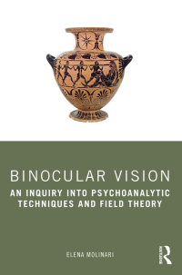 Cover image: Binocular Vision 1st edition 9781032483986