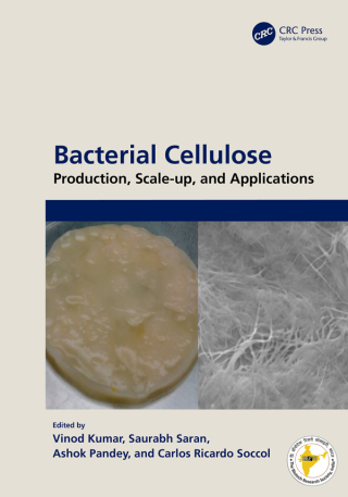 Omslagafbeelding: Bacterial Cellulose 1st edition 9781032398228