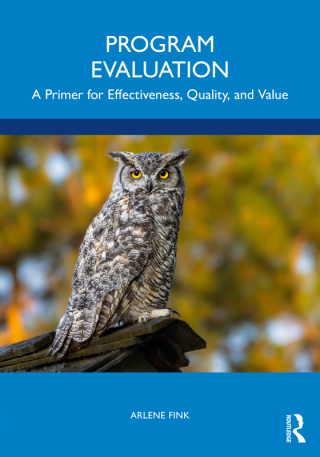 Cover image: Program Evaluation 1st edition 9781032635064