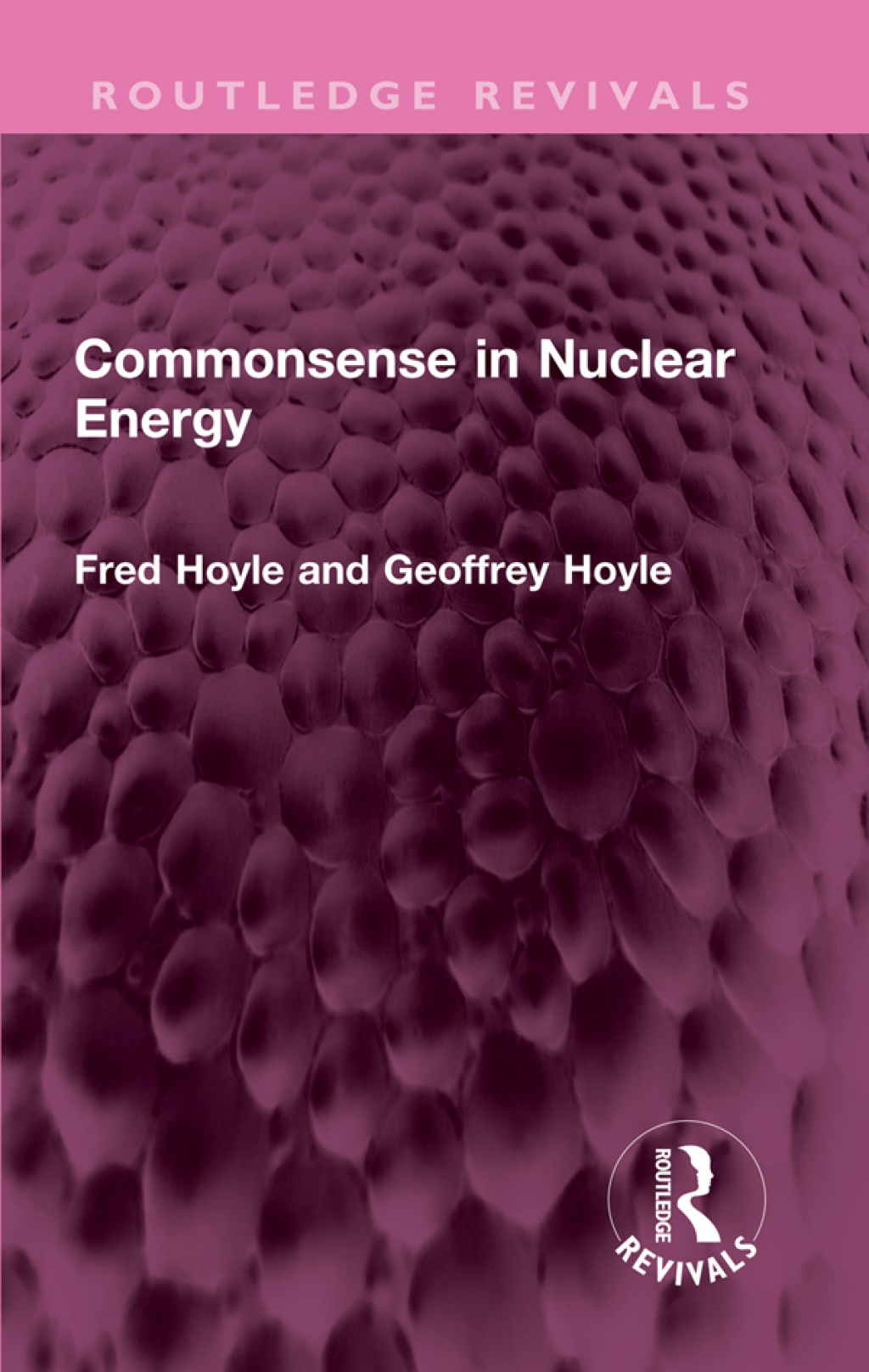 Commonsense in Nuclear Energy 1st Edition