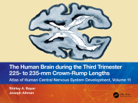 Omslagafbeelding: The Human Brain during the Third Trimester 225– to 235–mm Crown-Rump Lengths 1st edition 9781032228747