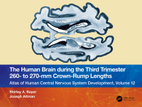 صورة الغلاف: The Human Brain during the Third Trimester 260– to 270–mm Crown-Rump Lengths 1st edition 9781032228761