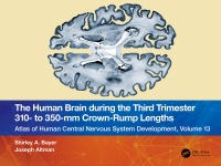 صورة الغلاف: The Human Brain during the Third Trimester 310– to 350–mm Crown-Rump Lengths 1st edition 9781032228853