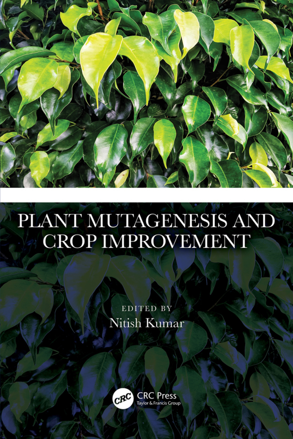 Plant Mutagenesis and Crop Improvement 1st Edition