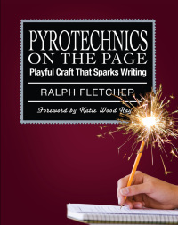 صورة الغلاف: Pyrotechnics on the Page 1st edition 9781571107831