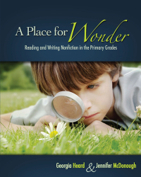 Cover image: A Place for Wonder 1st edition 9781571104328