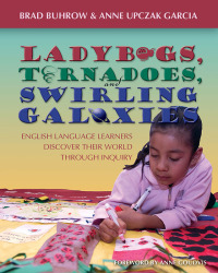 Omslagafbeelding: Ladybugs, Tornadoes, and Swirling Galaxies 1st edition 9781571104007