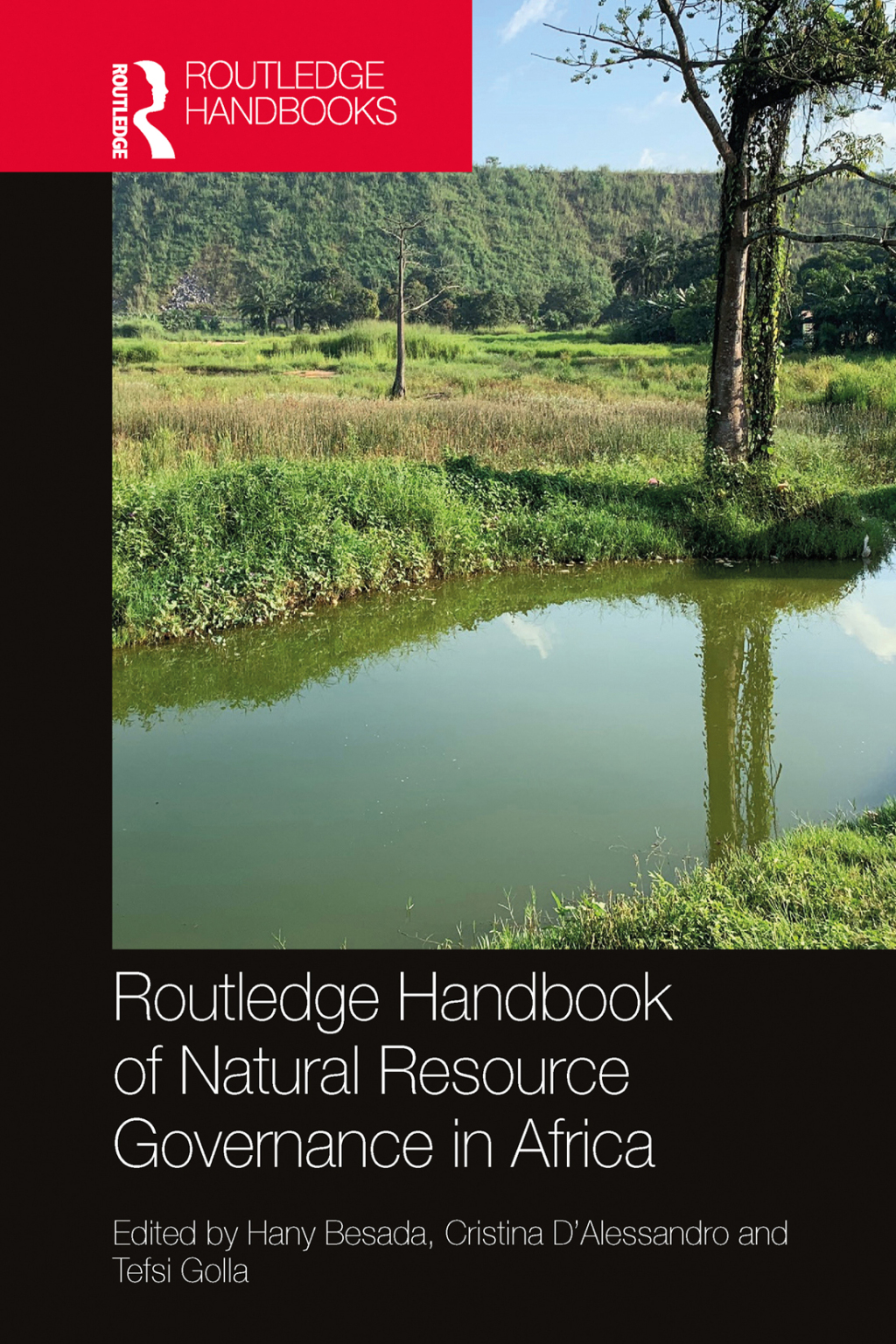 Routledge Handbook of Natural Resource Governance in Africa 1st Edition