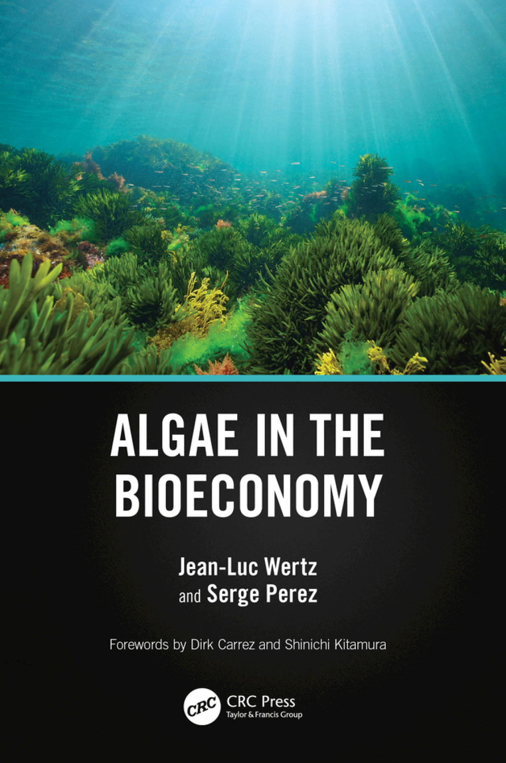 Algae in the Bioeconomy 1st Edition