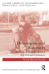 Cover image: Developmental Ruptures 1st edition 9781032663340