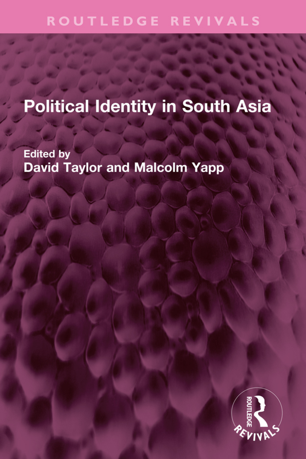 Political Identity in South Asia 1st Edition