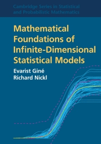 Imagen de portada: Mathematical Foundations of Infinite-Dimensional Statistical Models 9781108994132