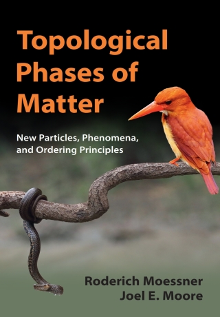 Cover image: Topological Phases of Matter 9781107105539