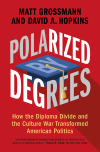 Cover image: Polarized by Degrees 1st edition 9781316512012