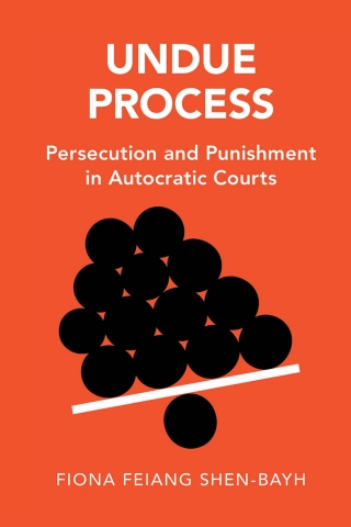 Titelbild: Undue Process 9781009197137