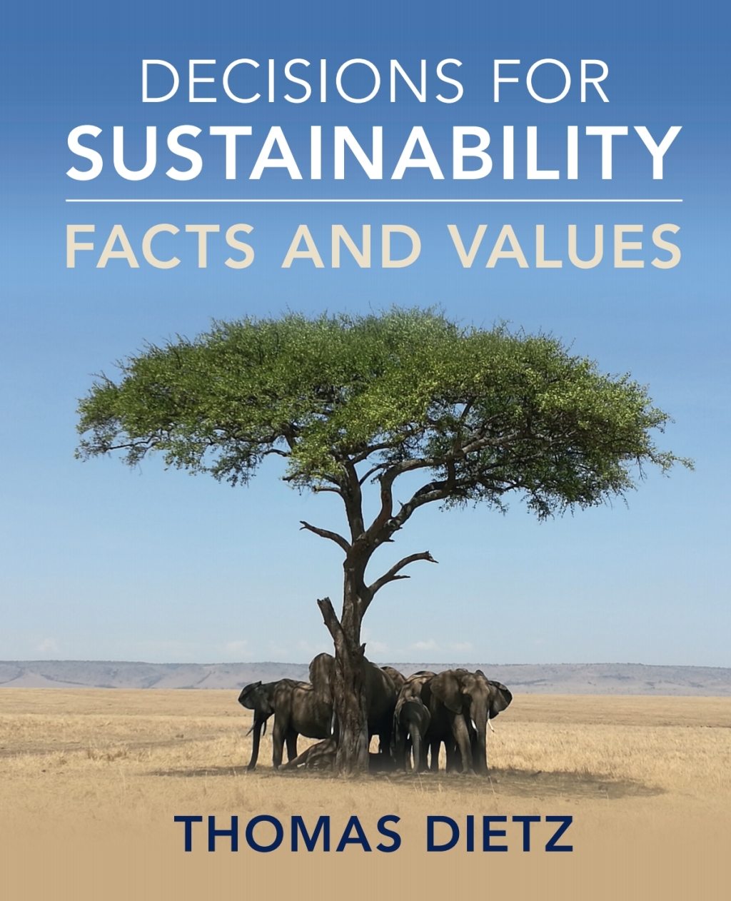 Decisions for Sustainability Facts and Values