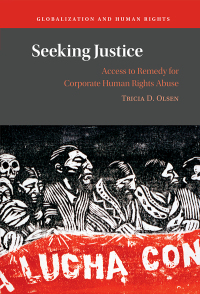 Cover image: Seeking Justice 9781009293242