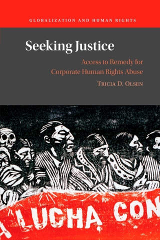 Imagen de portada: Seeking Justice 9781009293242