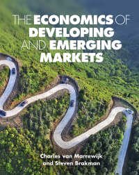 表紙画像: The Economics of Developing and Emerging Markets 9781107043336
