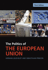 صورة الغلاف: The Politics of the European Union 3rd edition 9781009318310