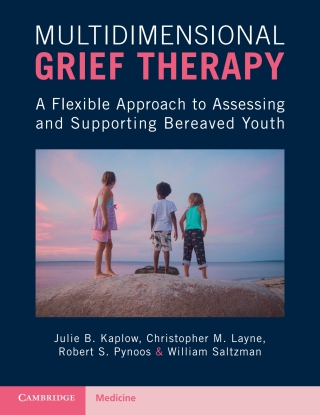 Cover image: Multidimensional Grief Therapy 9781107566507