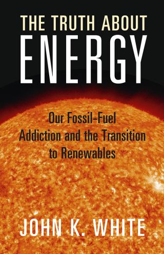 Cover image: The Truth About Energy 1st edition 9781009433198