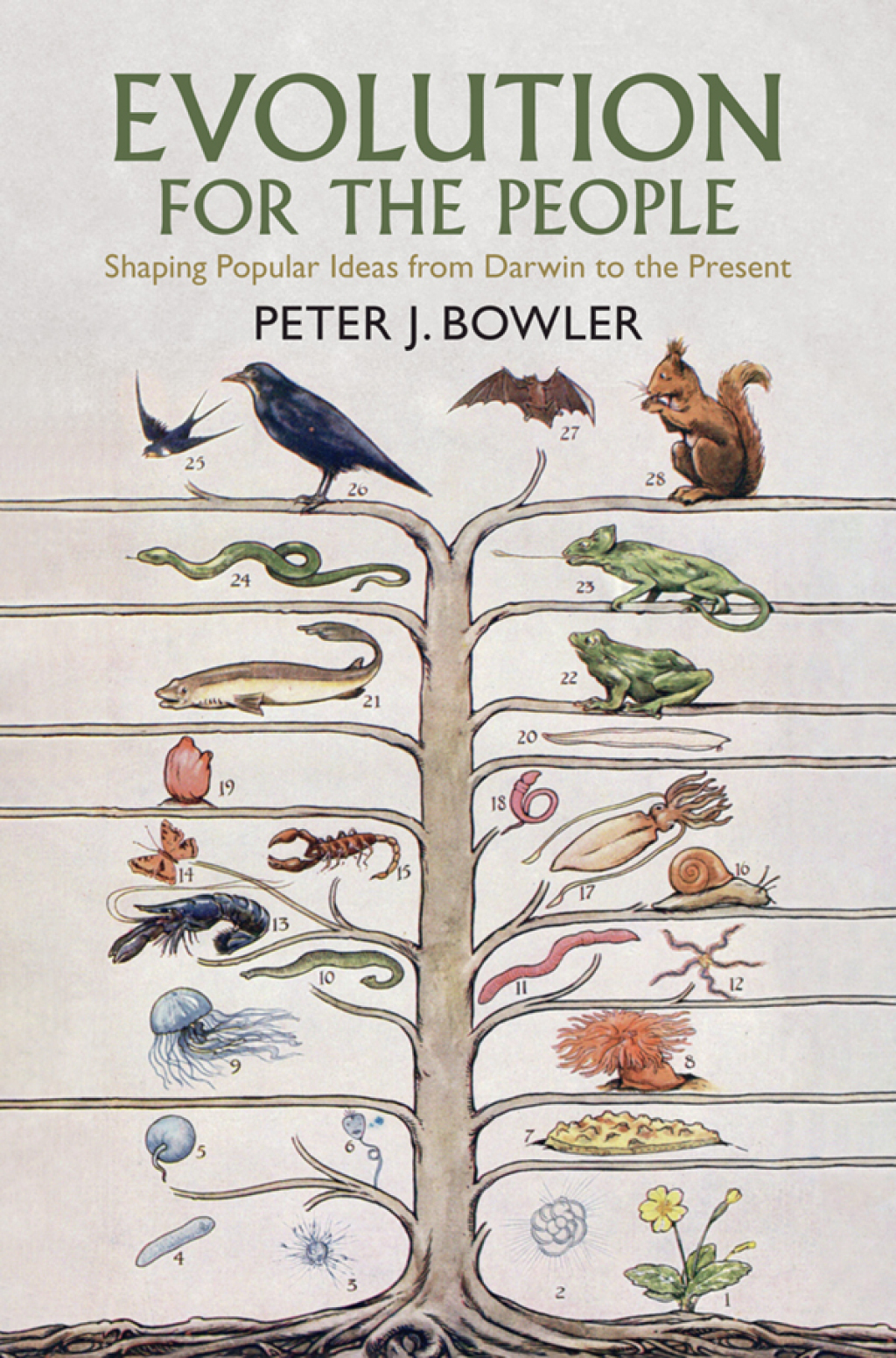 Evolution for the People Shaping Popular Ideas from Darwin to the Present