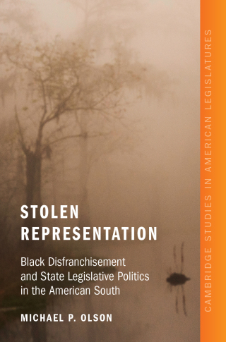 Imagen de portada: Stolen Representation 9781009700221