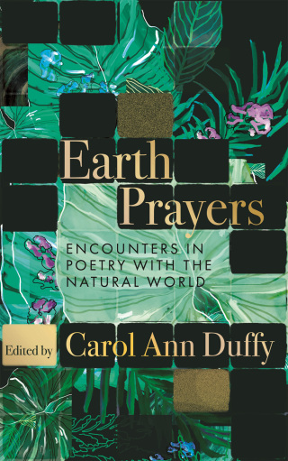 Cover image: Earth Prayers 9781035048144