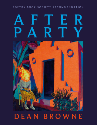 Cover image: After Party 9781035054671