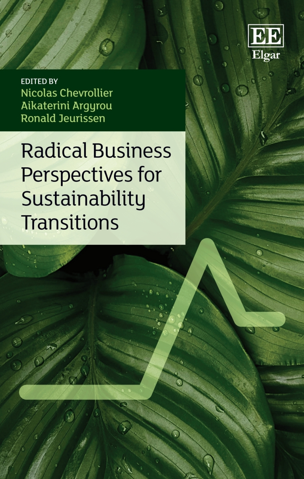 Radical Business Perspectives for Sustainability Transitions 1st Edition