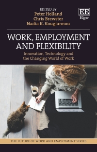 表紙画像: Work, Employment and Flexibility 1st edition 9781035309351