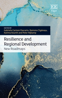 Cover image: Resilience and Regional Development 1st edition 9781035314041