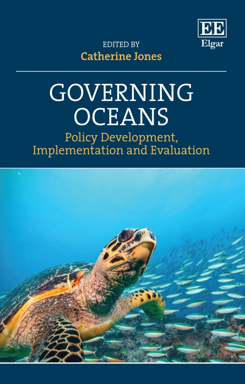 Governing Oceans 1st Edition