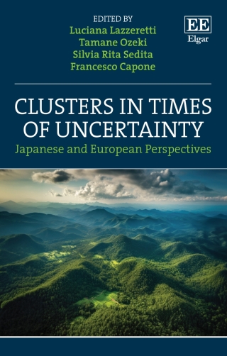 Cover image: Clusters in Times of Uncertainty 1st edition 9781035315758