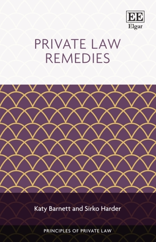 Cover image: Private Law Remedies 1st edition 9781035316014