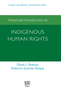 Imagen de portada: Advanced Introduction to Indigenous Human Rights 1st edition 9781035328642