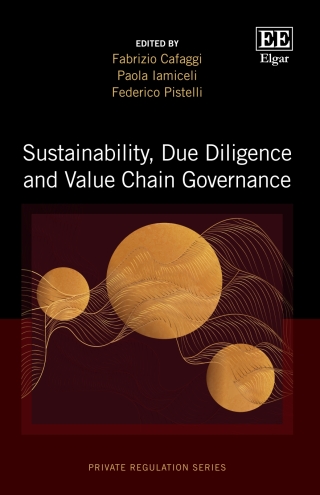 Cover image: Sustainability, Due Diligence and Value Chain Governance 1st edition 9781035350629