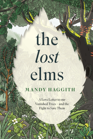 Cover image: The Lost Elms: A Love Letter to Our Vanished Trees – and the Fight to Save Them 9781035412327