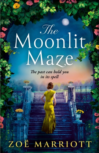 Cover image: The Moonlit Maze 9781035417810