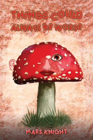 Omslagafbeelding: Things Could Always Be Worse 9781035803507