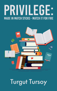 صورة الغلاف: Privilege: Made in Match Sticks - Match it for Fire 9781035807895