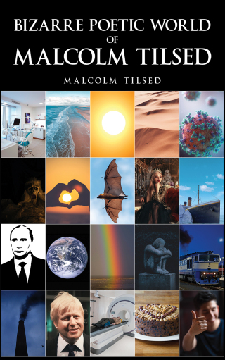 Cover image: Bizarre Poetic World of Malcolm Tilsed 9781035809394